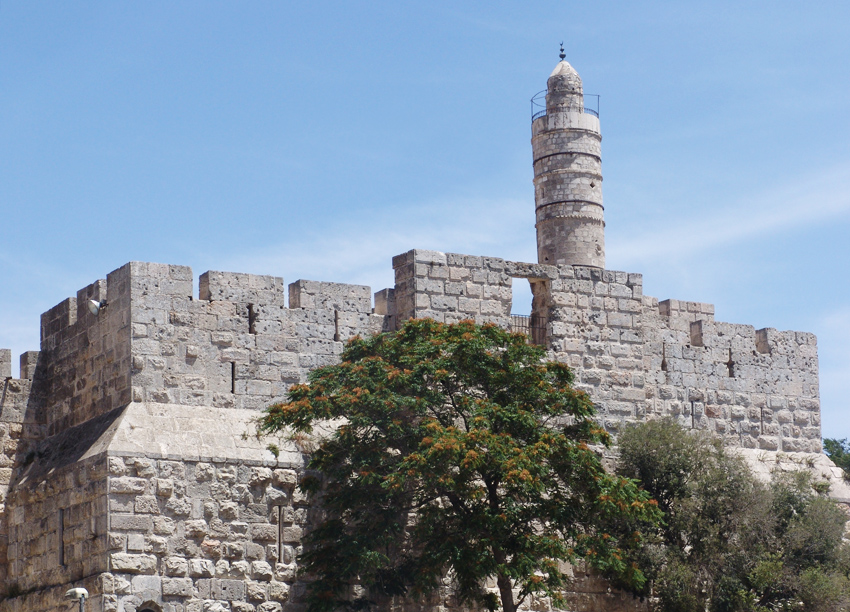 israel-david-torre-850